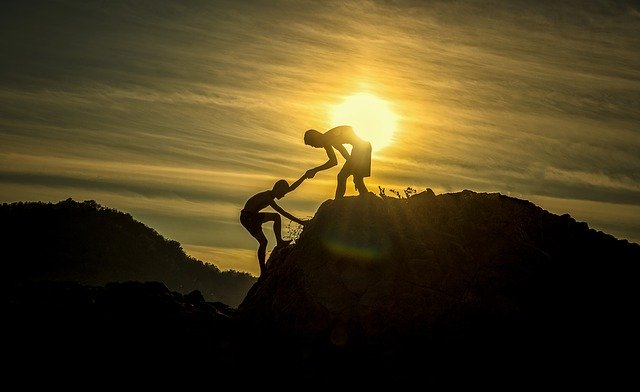 charity board trustee succession planning